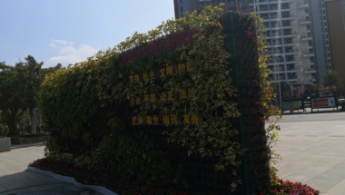 即使你之前没了解过深圳集体户口迁回老家，也能轻松地解决问题