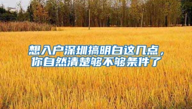 想入户深圳搞明白这几点，你自然清楚够不够条件了