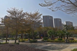 博士生可以在深圳落户吗，这些建议学会，或可避免走弯路！