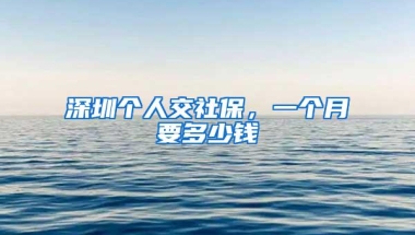 深圳个人交社保，一个月要多少钱