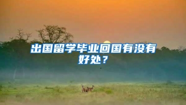 出国留学毕业回国有没有好处？