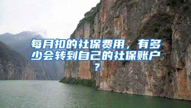每月扣的社保费用，有多少会转到自己的社保账户？
