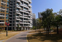 当我应对深圳入户调干要调档案吗时他们笑了，但当我成功后……！