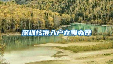 深圳核准入户在哪办理