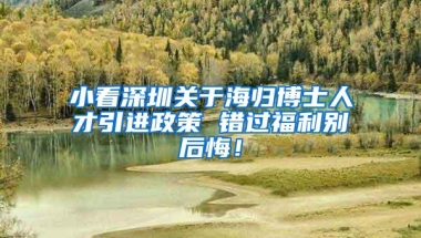 小看深圳关于海归博士人才引进政策 错过福利别后悔！