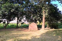 深圳集体户口户主页要收费么应对实操，从入门到精通！