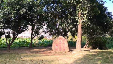 深圳集体户口户主页要收费么应对实操，从入门到精通！