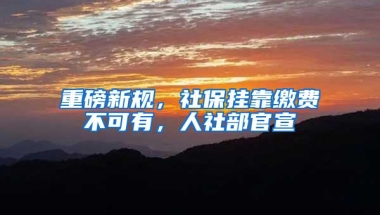 重磅新规，社保挂靠缴费不可有，人社部官宣