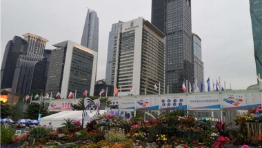 真实的留学生深圳落户2021解决方案攻略！