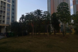 深圳调干入户跟招工入户的区别透露了什么深意？三个关键词领悟