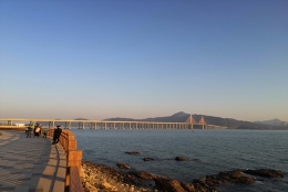 专业人士从0到1教你解决深圳调干入户集体户口的问题！