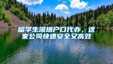 留学生深圳户口代办，这家公司快速安全又高效