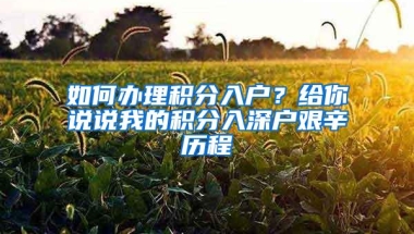 如何办理积分入户？给你说说我的积分入深户艰辛历程