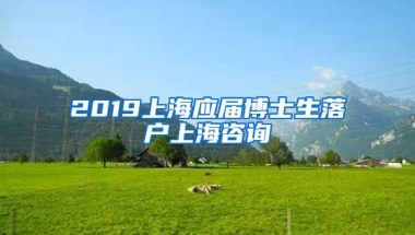 2019上海应届博士生落户上海咨询