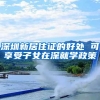 深圳新居住证的好处 可享受子女在深就学政策