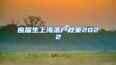应届生上海落户政策2022