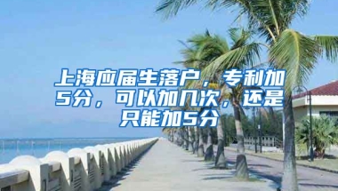 上海应届生落户，专利加5分，可以加几次，还是只能加5分
