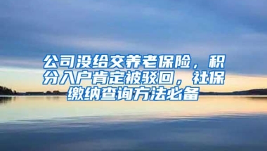 公司没给交养老保险，积分入户肯定被驳回，社保缴纳查询方法必备