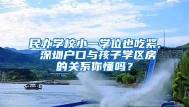 民办学校小一学位也吃紧, 深圳户口与孩子学区房的关系你懂吗？