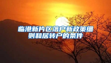 临港新片区落户新政策细则和居转户的条件