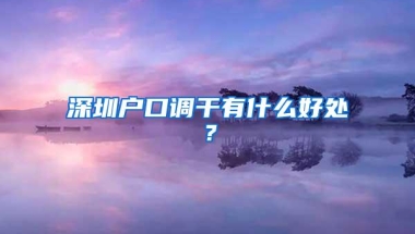 深圳户口调干有什么好处？