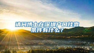 请问博士在深圳户口挂靠条件有什么？