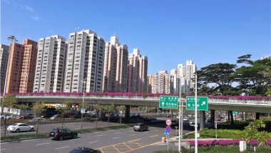 如何处理深圳留学生落户政策的问题？