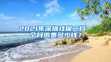 2021年深圳社保二档一个月缴费多少钱？