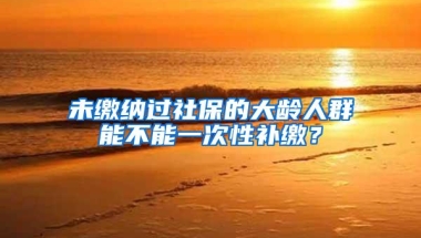 未缴纳过社保的大龄人群能不能一次性补缴？
