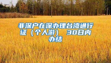非深户在深办理台湾通行证（个人游） 30日内办结