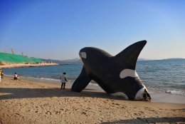 深圳集体户口转个人户口3个成功秘诀