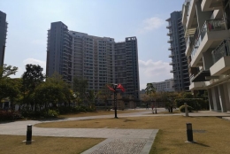 重磅深圳入户单位申报但公司没有集体户怎么落户信息接连出炉，你可能不知道这些！