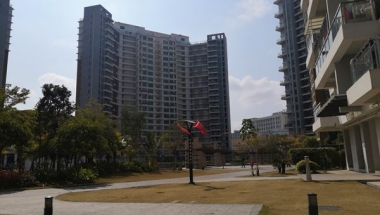 重磅深圳入户单位申报但公司没有集体户怎么落户信息接连出炉，你可能不知道这些！