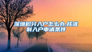 深圳积分入户怎么办,核准制入户申请条件