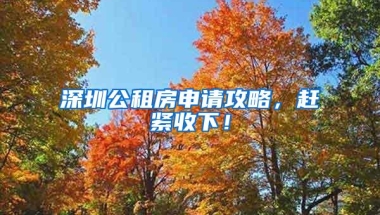 深圳公租房申请攻略，赶紧收下！