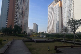 深圳调干入户2022简单、快捷应对方法，你做对了吗？