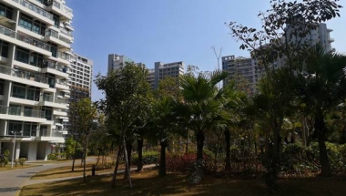 3步拆解，学会如何应对海归落户深圳管理办法问题