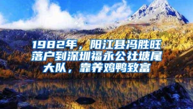 1982年，阳江县冯胜旺落户到深圳福永公社塘尾大队，靠养鸡鸭致富