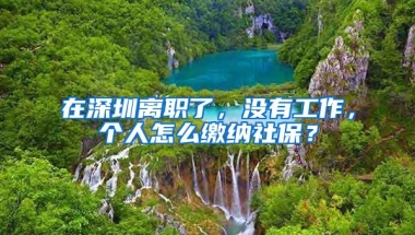 在深圳离职了，没有工作，个人怎么缴纳社保？