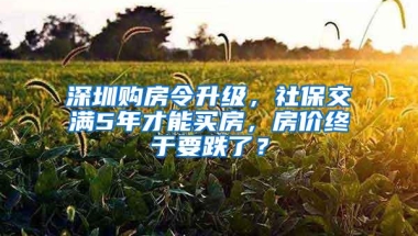 深圳购房令升级，社保交满5年才能买房，房价终于要跌了？