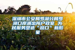 深圳市公安局罗湖分局罗湖口岸派出所户政室 为民服务塑造“窗口”新形象