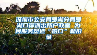 深圳市公安局罗湖分局罗湖口岸派出所户政室 为民服务塑造“窗口”新形象