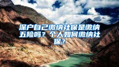 深户自己缴纳社保是缴纳五险吗？个人如何缴纳社保？
