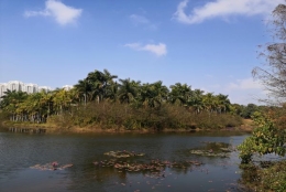 干货！2022年留学生落户深圳全攻略！