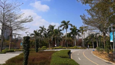深圳留学生人才引进落户的指南大全