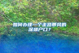 如何办理一个走路带风的深圳户口？