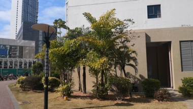 新手必读：2022深圳留学人员落户条件全解析！