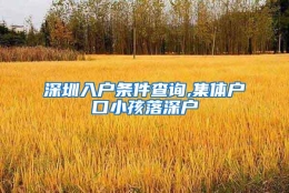 深圳入户条件查询,集体户口小孩落深户