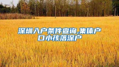 深圳入户条件查询,集体户口小孩落深户
