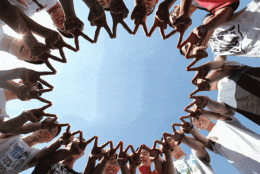 高校毕业生档案接收、集体户口挂靠、党组织关系转移……看这一条就够啦！